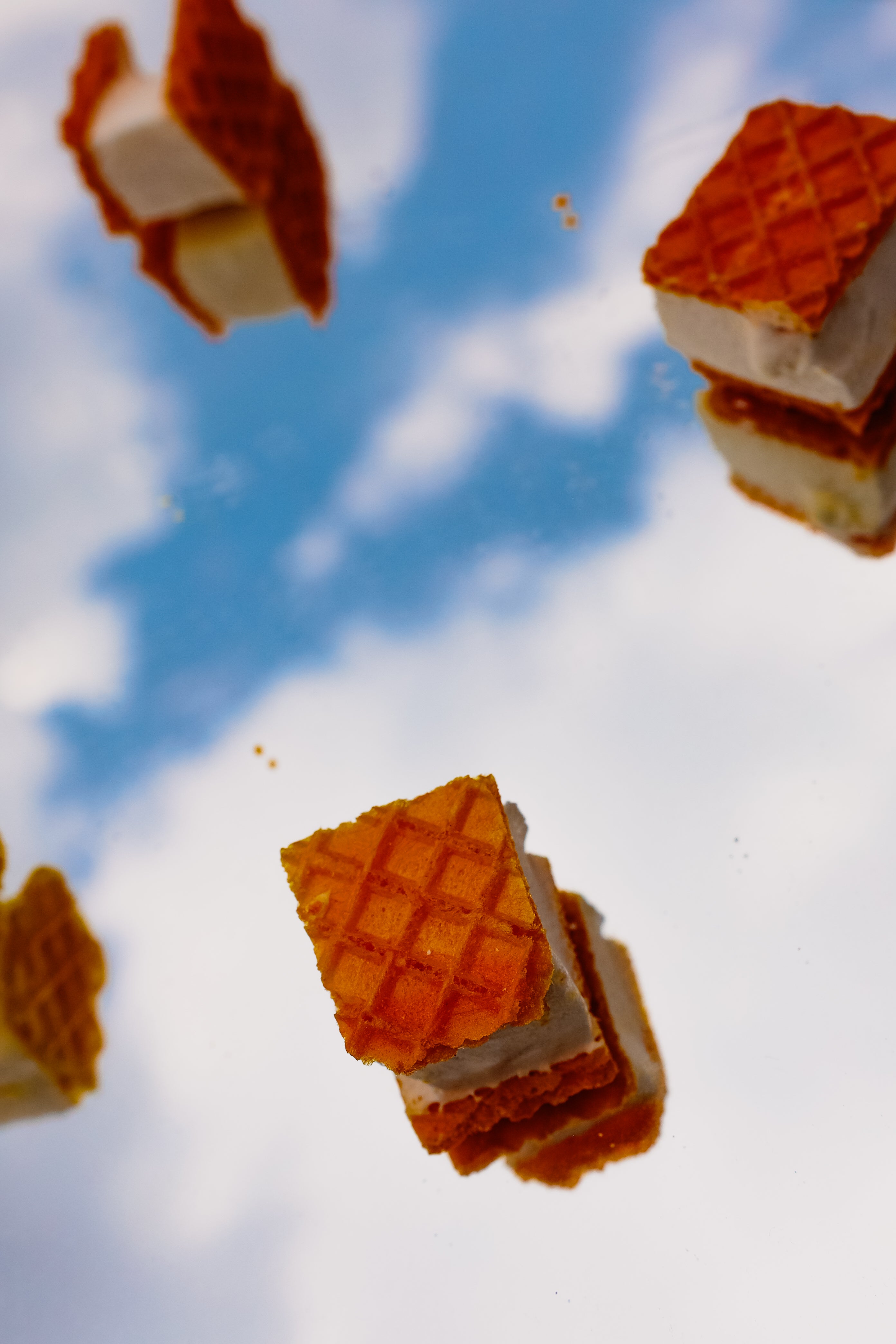 ICE CREAM SANDWICH
