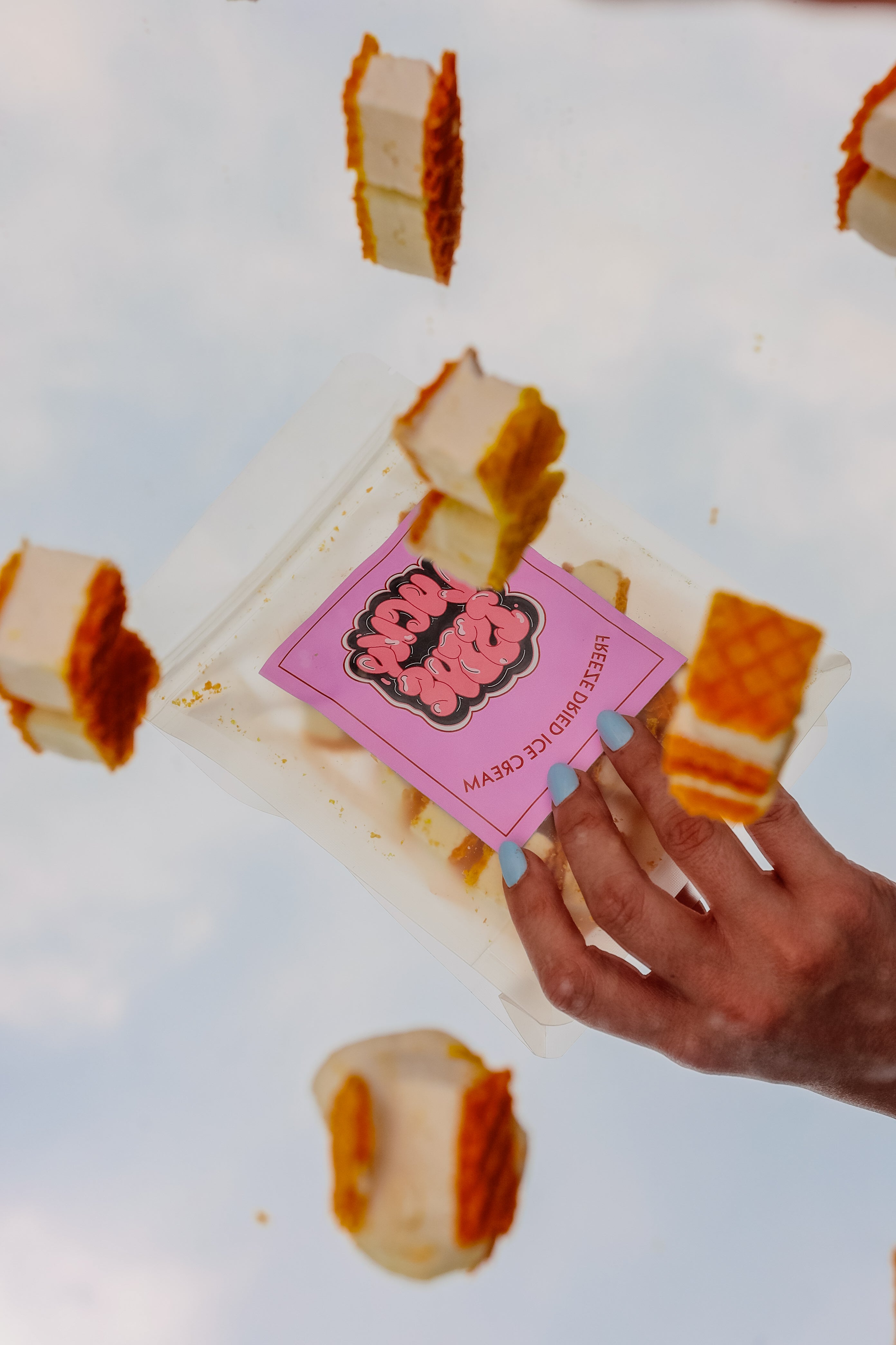 ICE CREAM SANDWICH